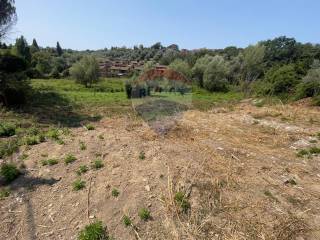 Terreno agricolo in vendita a capena 