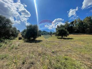 Terreno agricolo in vendita a formello monti di marvaiata