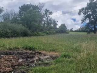 Terreno agricolo all'asta a tolentino contrada redentore, 43