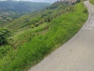 Terreno agricolo all'asta a rende contrada felpiano