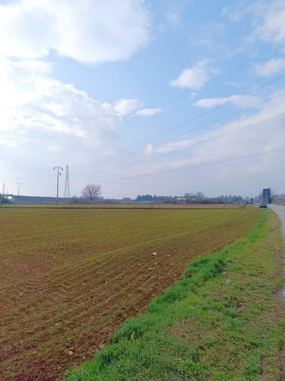 immagine annuncio 6 di 13