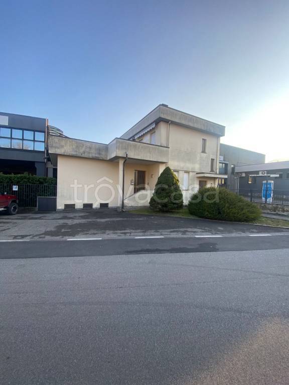immagine annuncio 5 di 14
