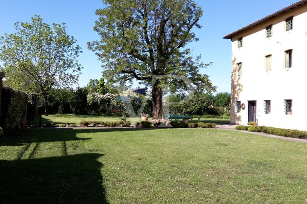 immagine annuncio 5 di 6