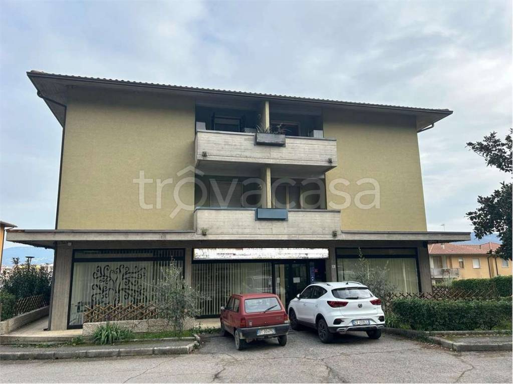 immagine annuncio 3 di 8