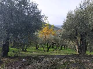 Terreno agricolo in vendita a rocca massima via rocca massima