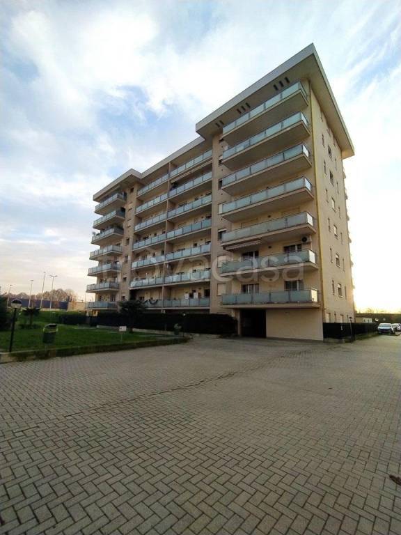 immagine annuncio 6 di 15