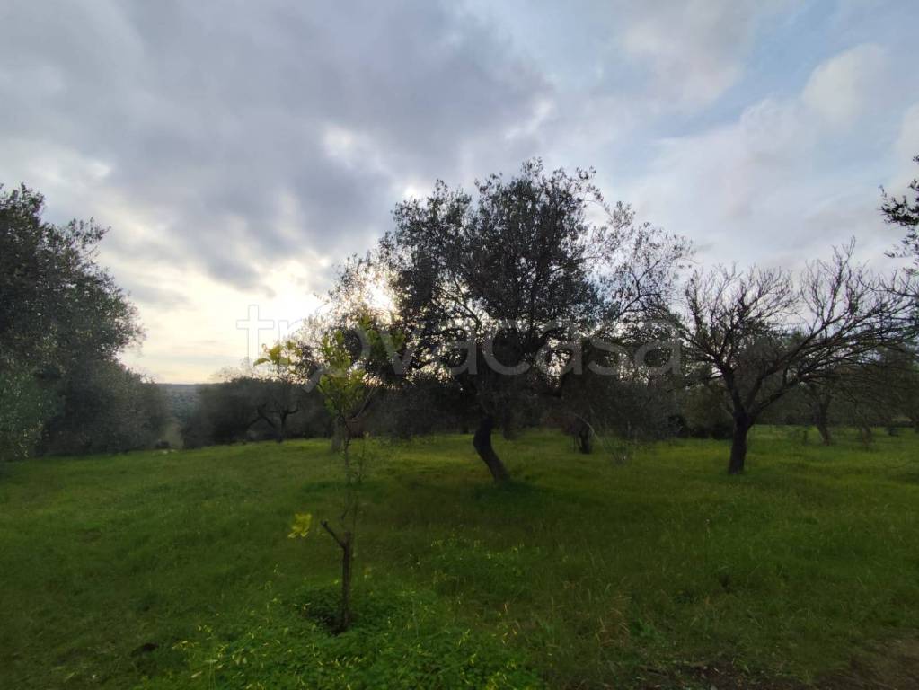 immagine annuncio 4 di 9