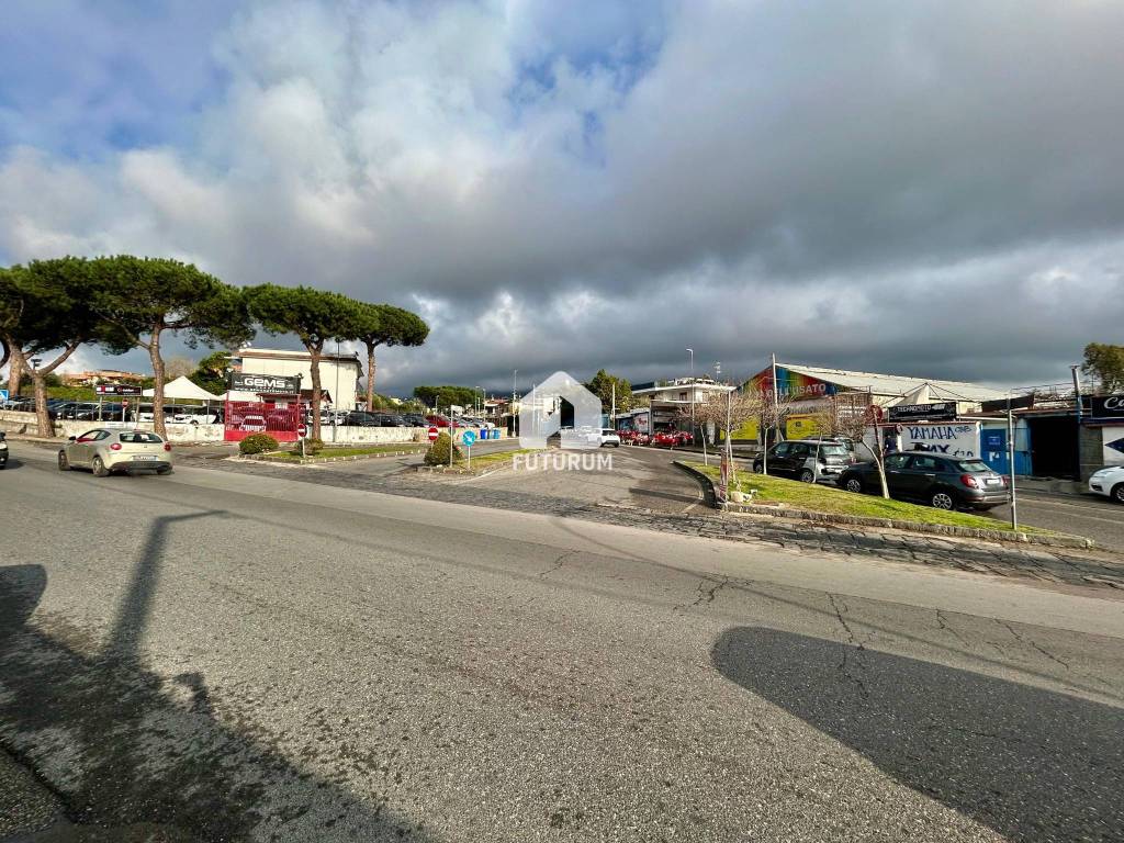 immagine annuncio 10 di 12