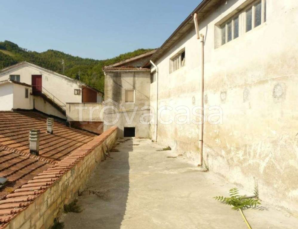 immagine annuncio 3 di 13