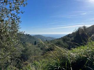 Terreno agricolo in vendita a imperia strada comunale molino dei giusi