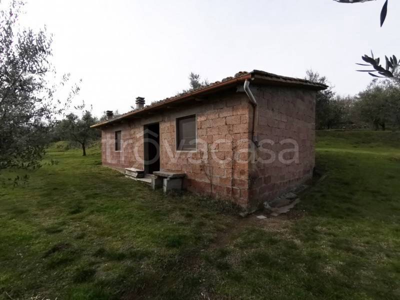 immagine annuncio 5 di 8