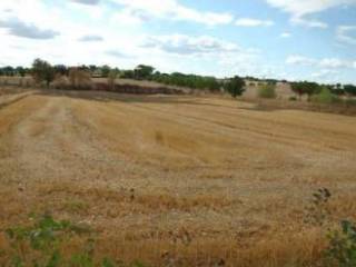 Terreno agricolo all'asta a marsciano s. biagio della valle, 06072 san biagio della valle pg, italia