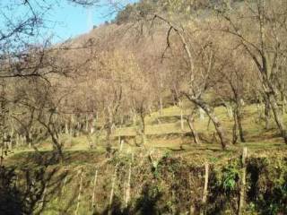 Terreno agricolo all'asta a foglianise via sala, 82030 foglianise bn, italia