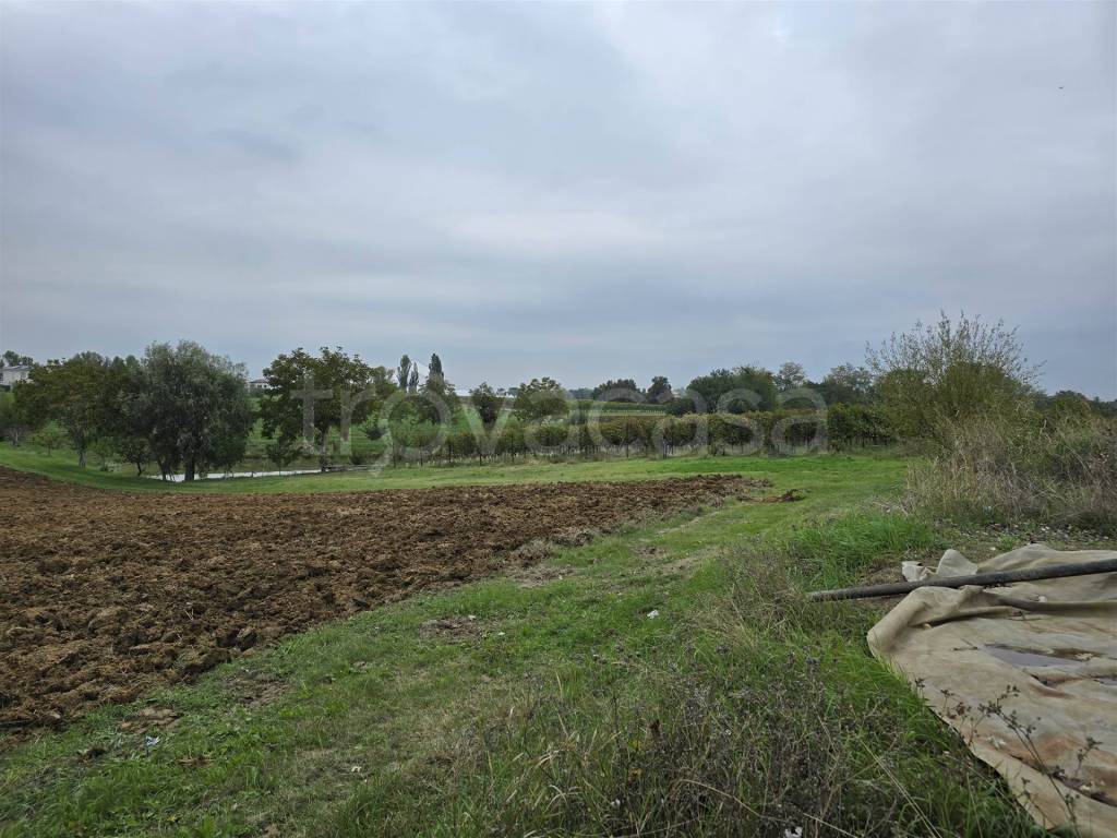 immagine annuncio 1 di 6