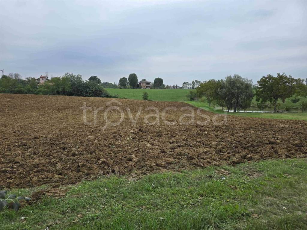 immagine annuncio 4 di 6