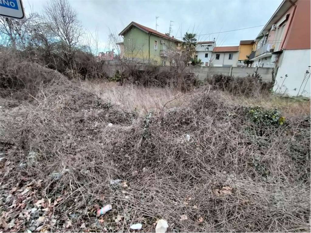 immagine annuncio 3 di 6