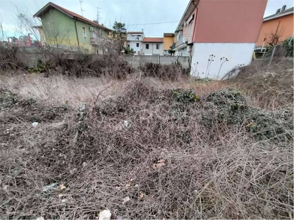 immagine annuncio 4 di 6