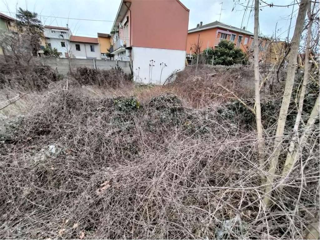 immagine annuncio 5 di 6