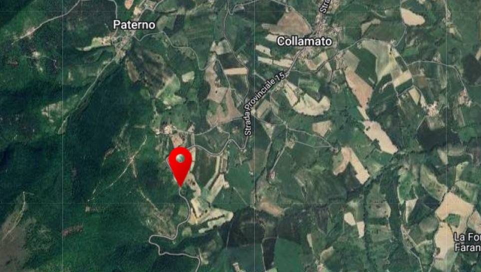 immagine annuncio 1 di 15