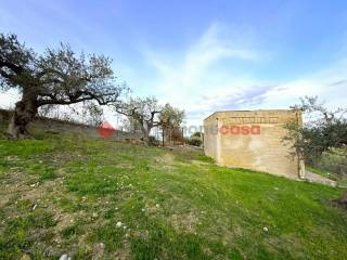 Terreno agricolo in vendita a casteldaccia contrada bambino, snc