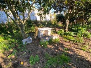 Terreno agricolo in vendita a procida via del faro