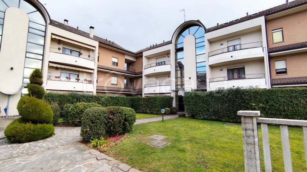 immagine annuncio 11 di 12