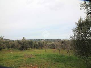 Terreno residenziale in vendita a ostuni 