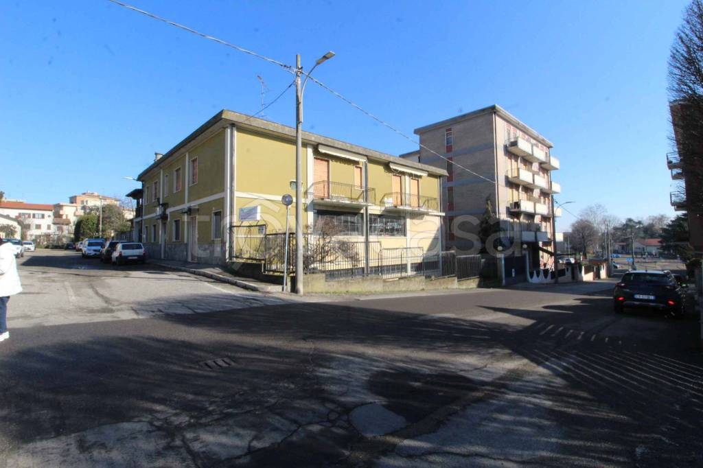 immagine annuncio 7 di 15