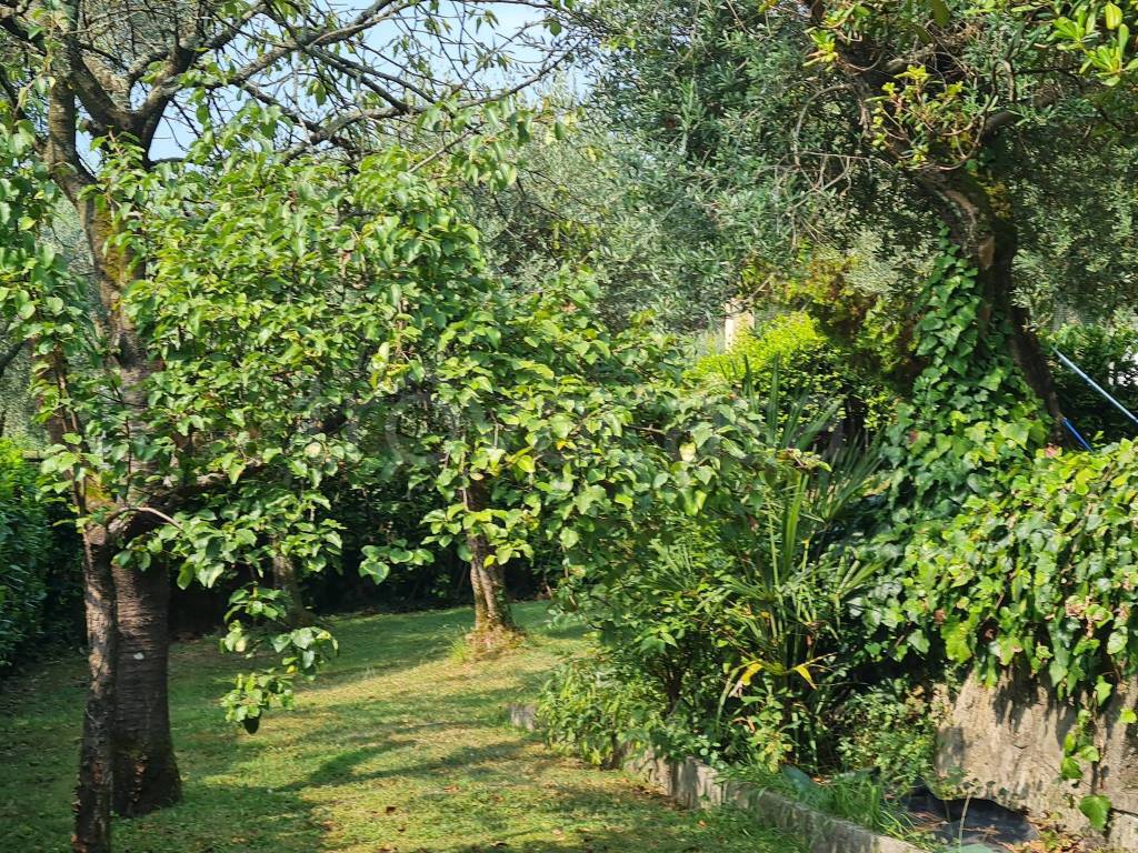 immagine annuncio 3 di 7
