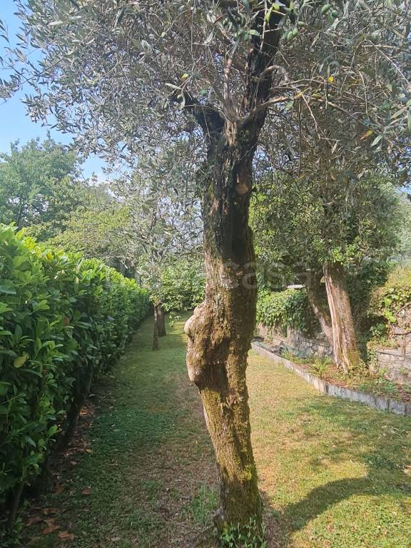 immagine annuncio 5 di 7