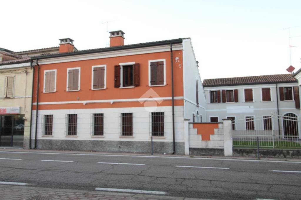 immagine annuncio 1 di 8