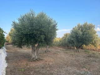 Terreno agricolo in vendita a galati mamertino contrada nipotelli