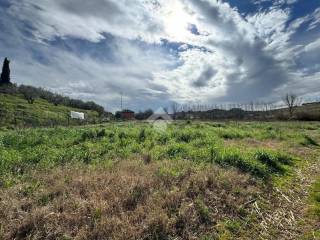 Terreno agricolo in vendita a monterotondo via monte sant' ilario