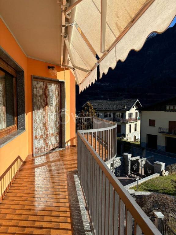immagine annuncio 12 di 15