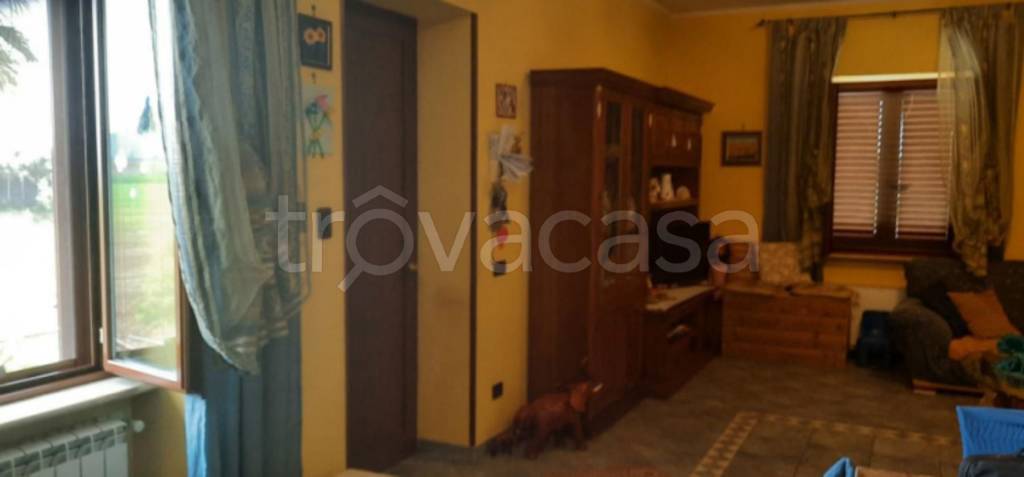 immagine annuncio 3 di 12