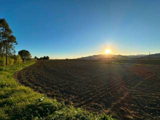 Terreno agricolo in vendita a castiglione della pescaia 