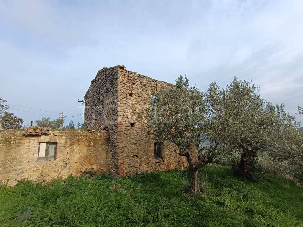 immagine annuncio 2 di 12