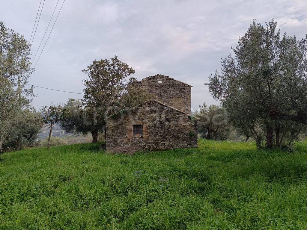 immagine annuncio 4 di 12