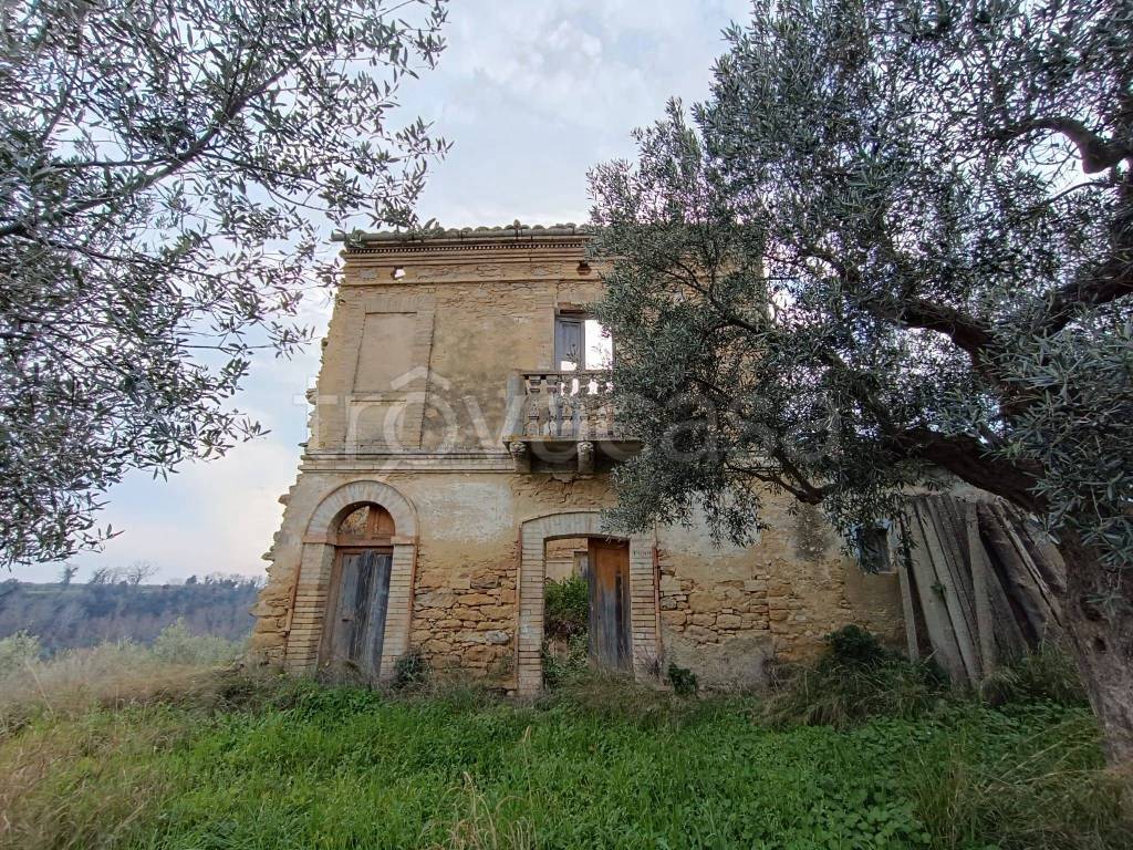 immagine annuncio 7 di 12