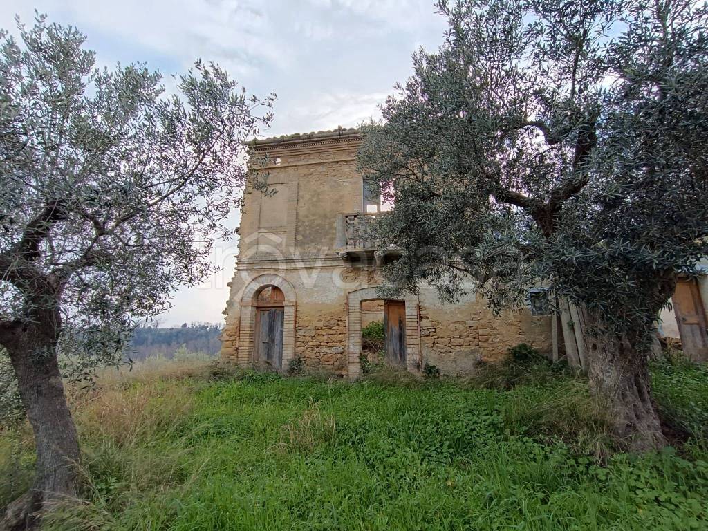 immagine annuncio 6 di 12