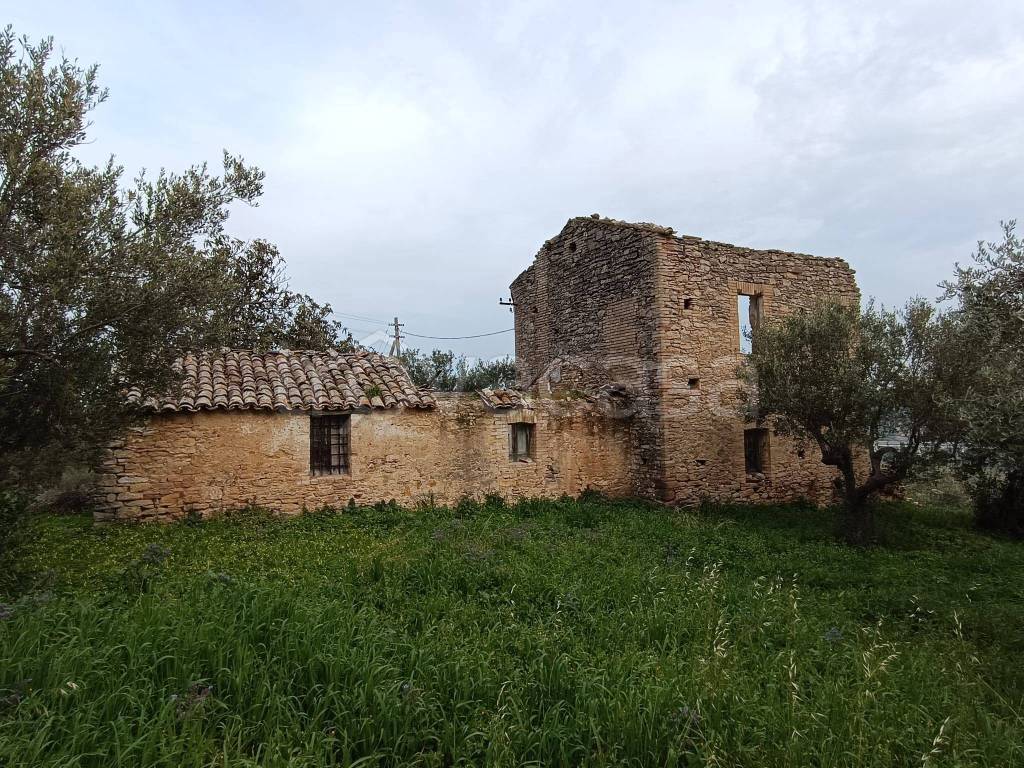 immagine annuncio 3 di 12