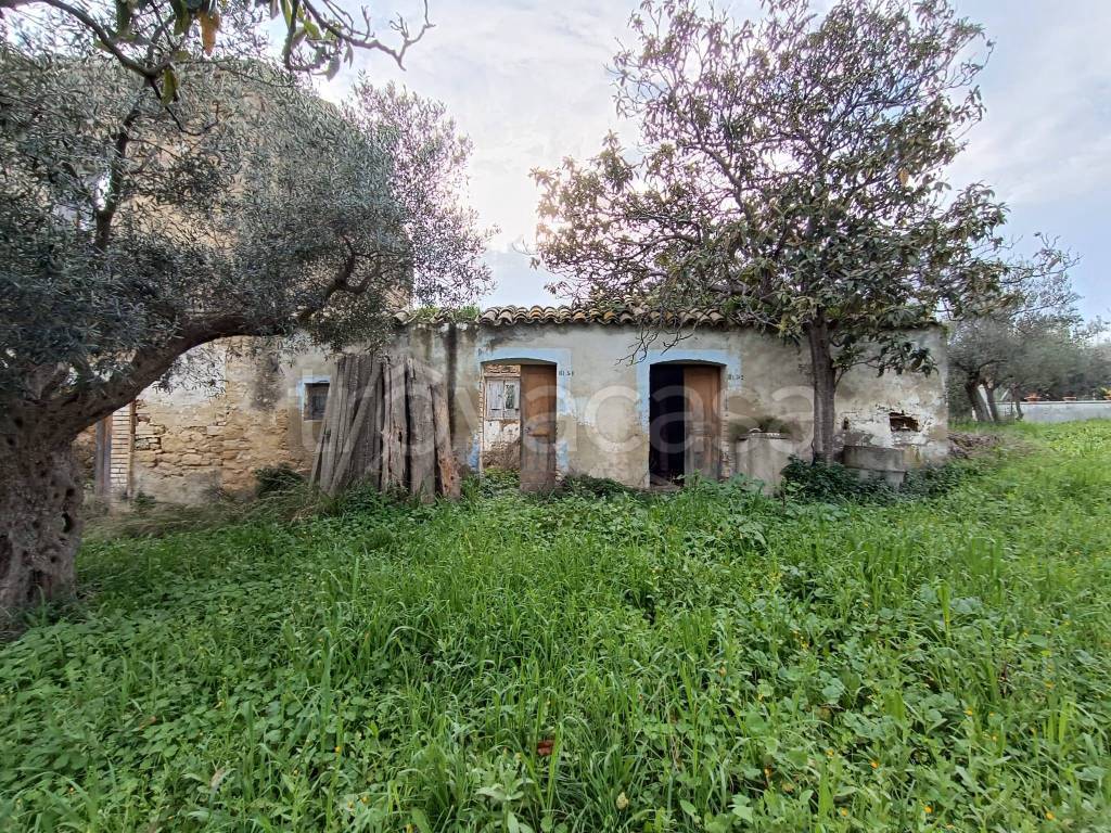 immagine annuncio 8 di 12