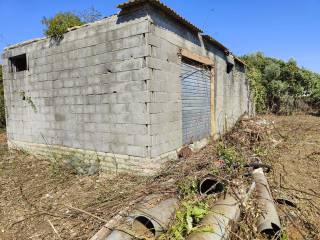 Terreno agricolo in vendita ad ardea via dei melograni