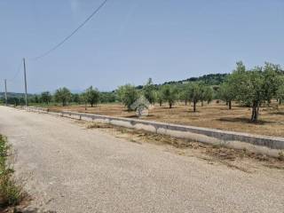 Terreno agricolo in vendita a sant'agata de' goti via faggiano