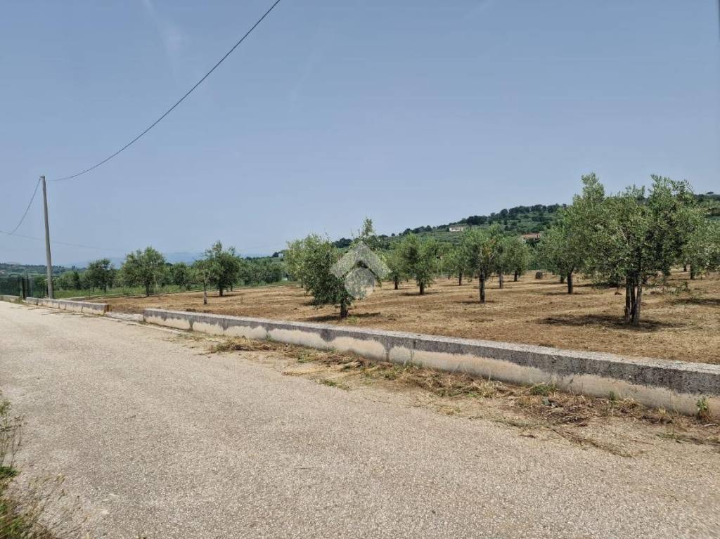immagine annuncio 5 di 11