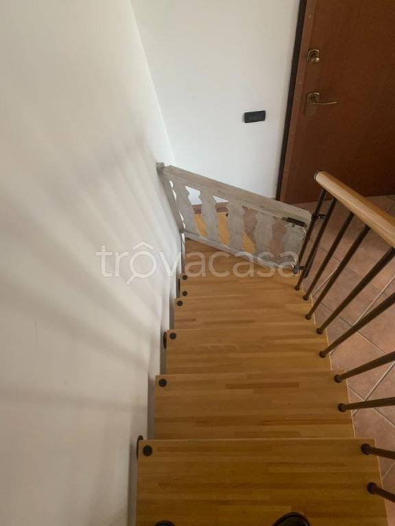 immagine annuncio 5 di 9