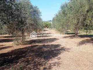 Terreno agricolo in vendita a ispica 