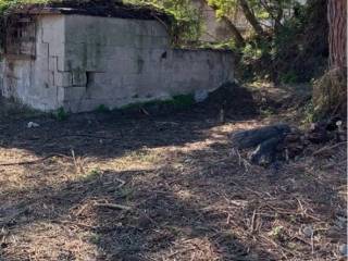 Terreno agricolo in vendita a napoli via terracina