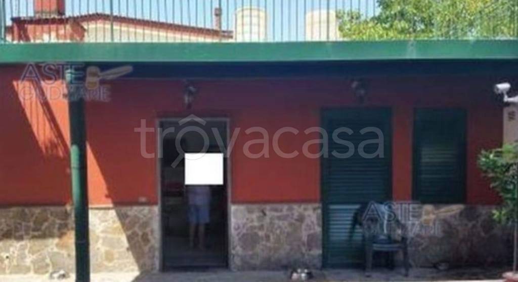 immagine annuncio 12 di 13