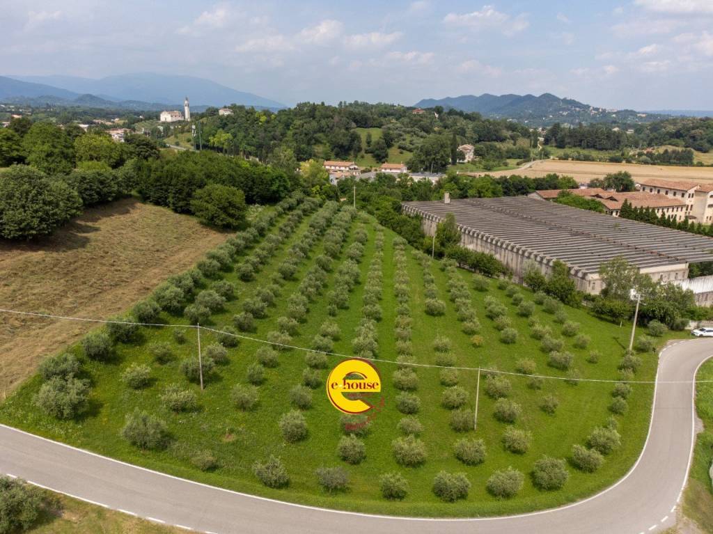 immagine annuncio 2 di 12